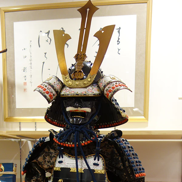 LS10 DOUGEN Armor - Image 6