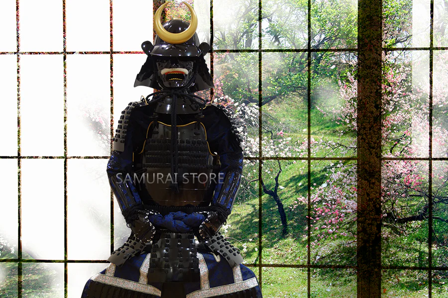 LS16 Mitake Armor II - Image 5